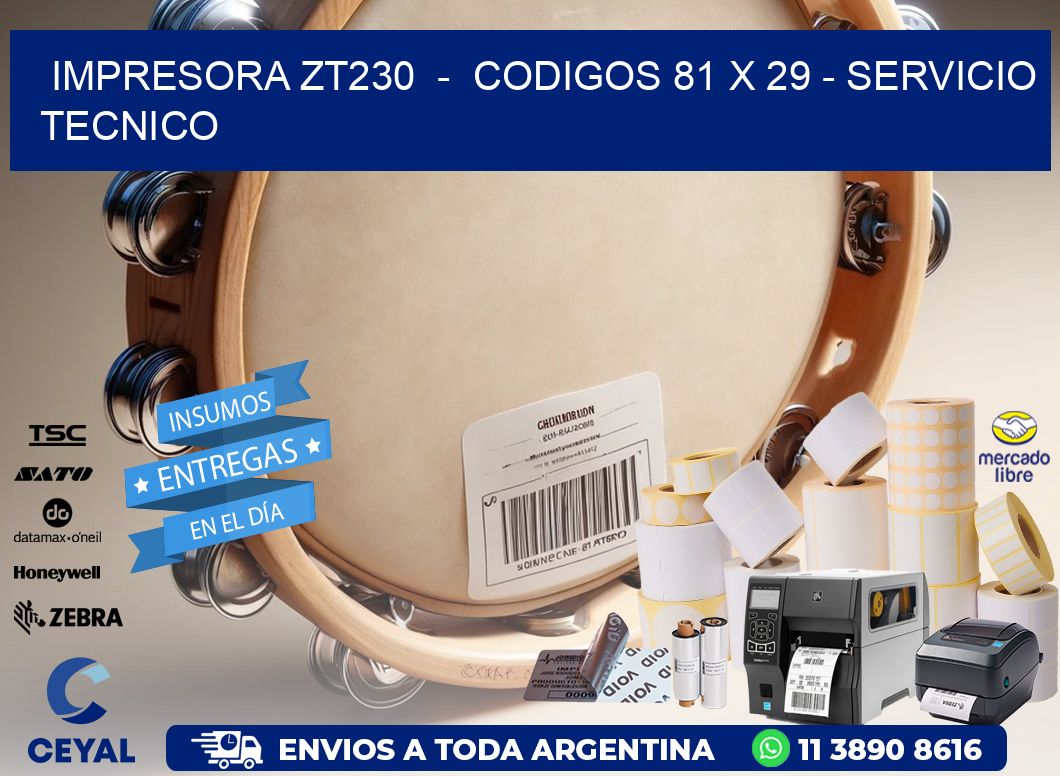 IMPRESORA ZT230  -  CODIGOS 81 x 29 - SERVICIO TECNICO