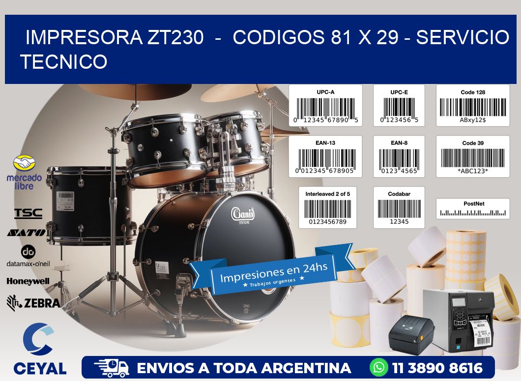 IMPRESORA ZT230  -  CODIGOS 81 x 29 - SERVICIO TECNICO