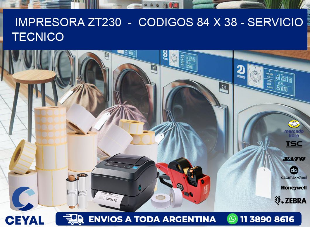 IMPRESORA ZT230  -  CODIGOS 84 x 38 - SERVICIO TECNICO