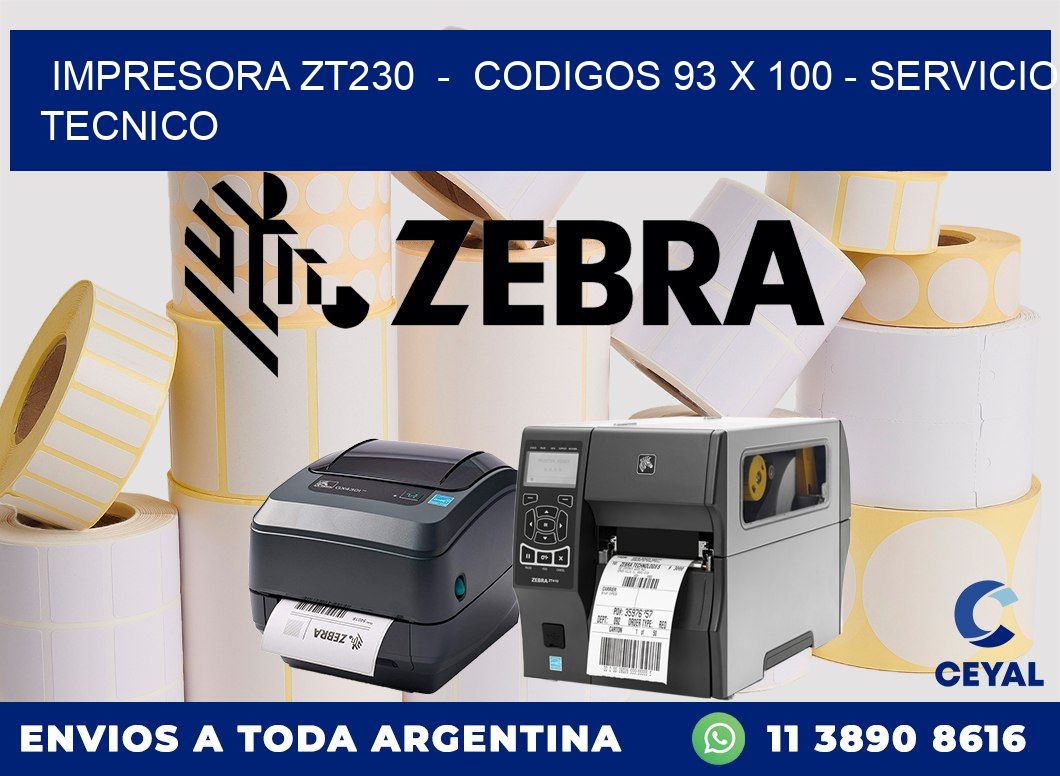 IMPRESORA ZT230  -  CODIGOS 93 x 100 - SERVICIO TECNICO