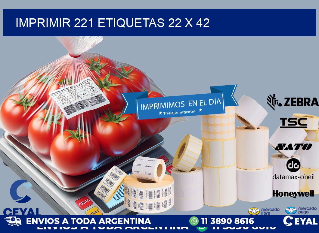 IMPRIMIR 221 ETIQUETAS 22 x 42
