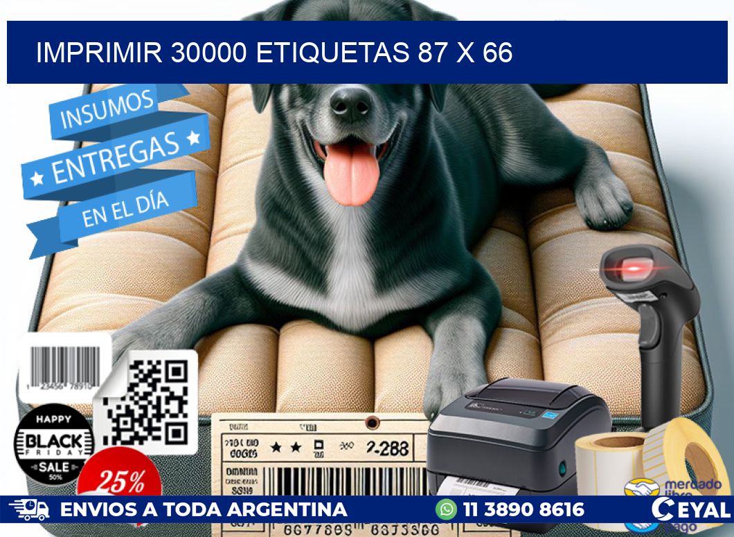 IMPRIMIR 30000 ETIQUETAS 87 x 66