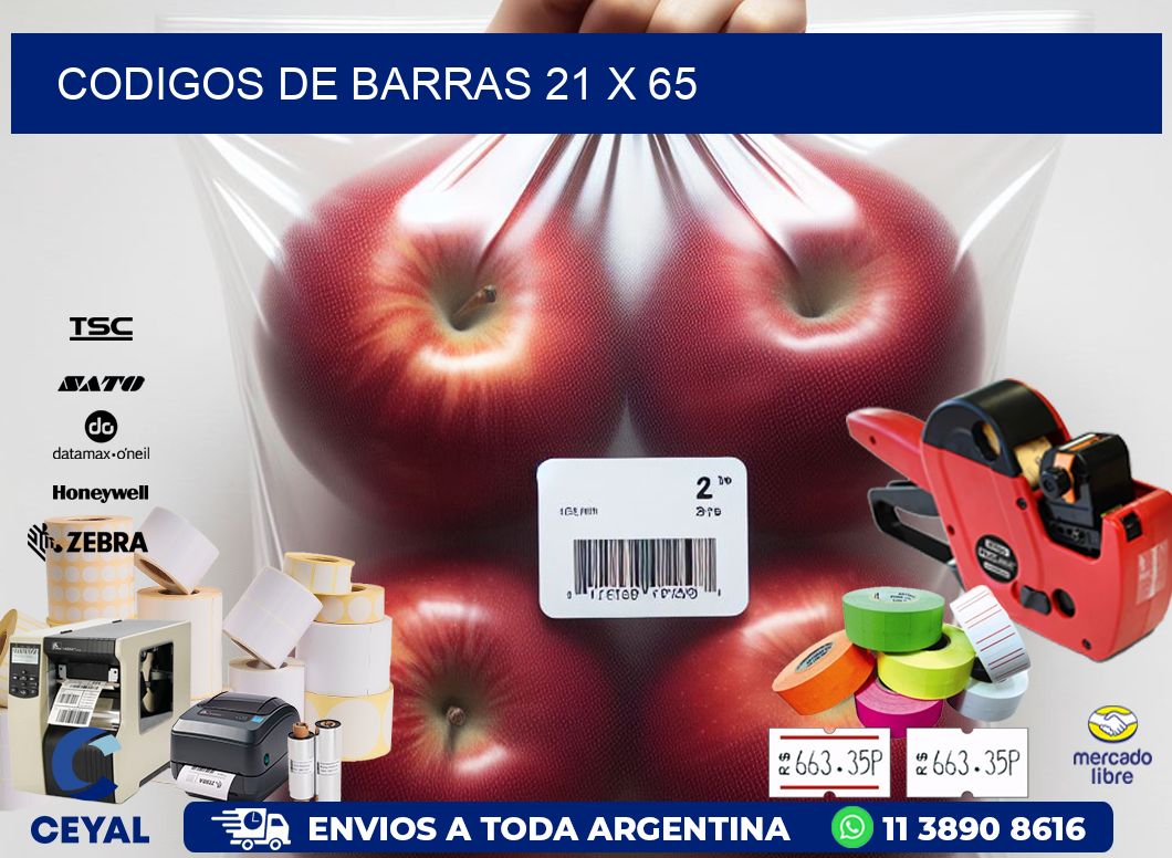 codigos de barras 21 x 65
