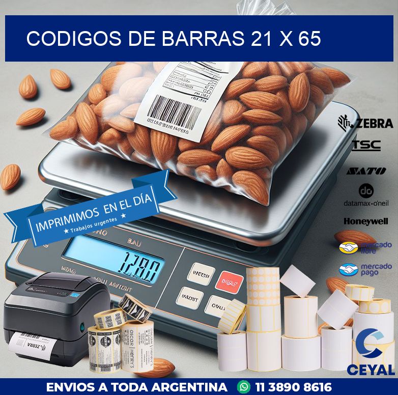 codigos de barras 21 x 65