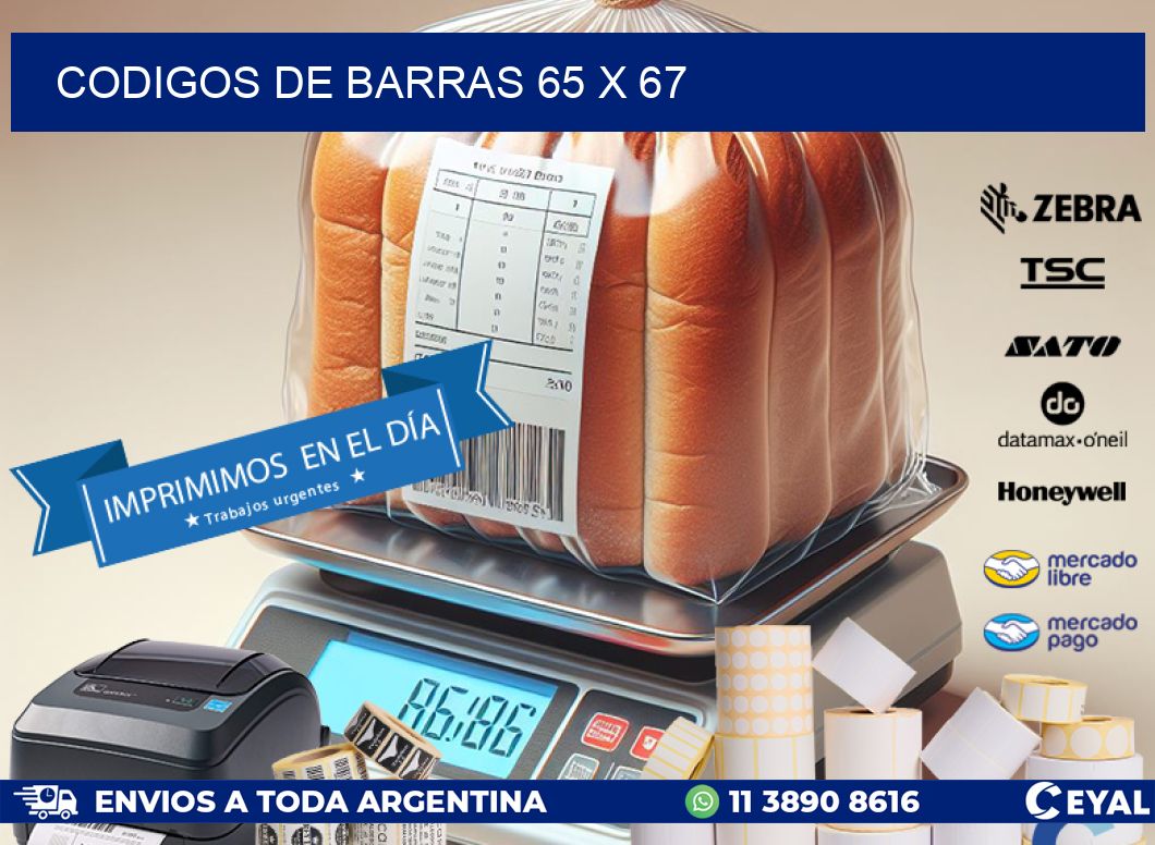 codigos de barras 65 x 67