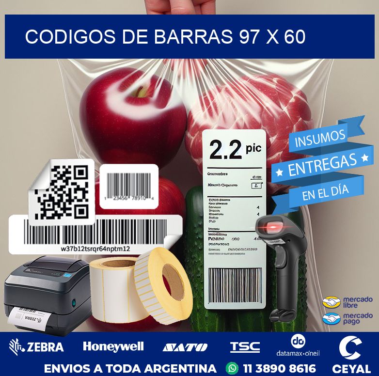 codigos de barras 97 x 60