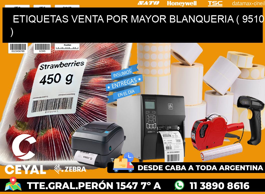 ETIQUETAS VENTA POR MAYOR BLANQUERIA ( 9510 )