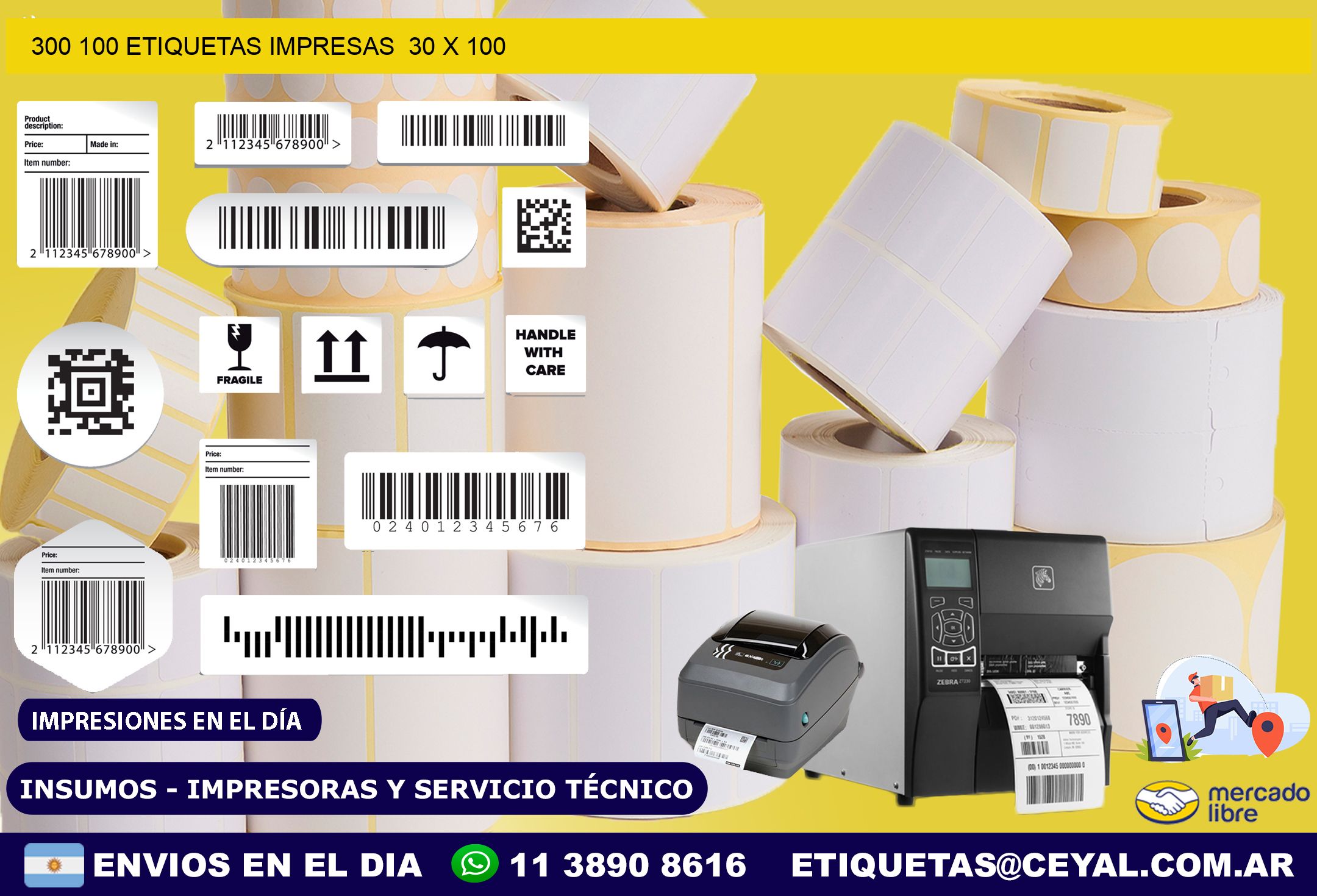 300 100 ETIQUETAS IMPRESAS  30 x 100