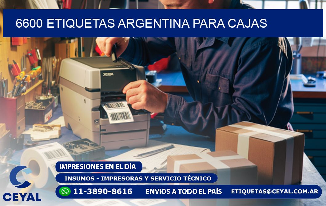 6600 ETIQUETAS ARGENTINA PARA CAJAS