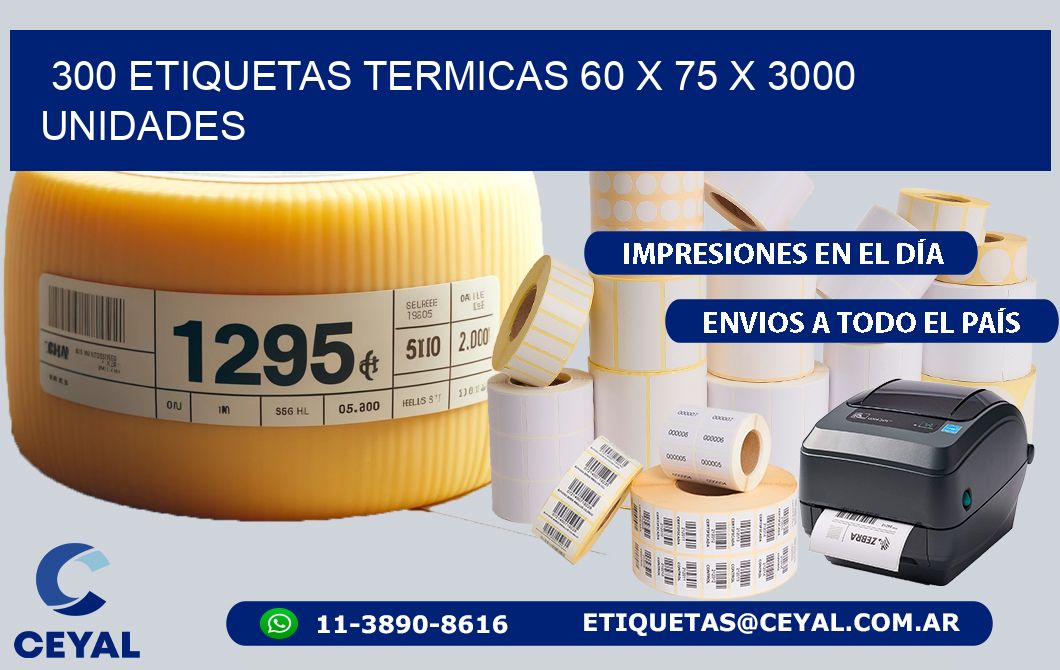 300 ETIQUETAS TERMICAS 60 x 75 X 3000 UNIDADES