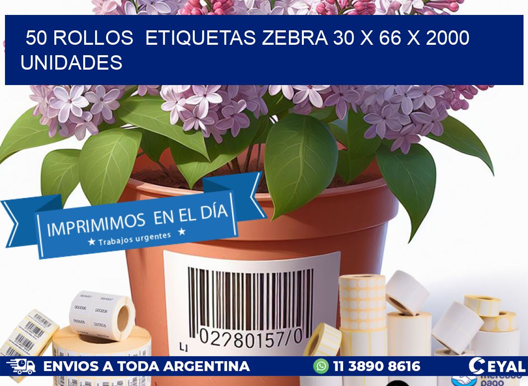 50 ROLLOS  ETIQUETAS ZEBRA 30 x 66 X 2000 UNIDADES