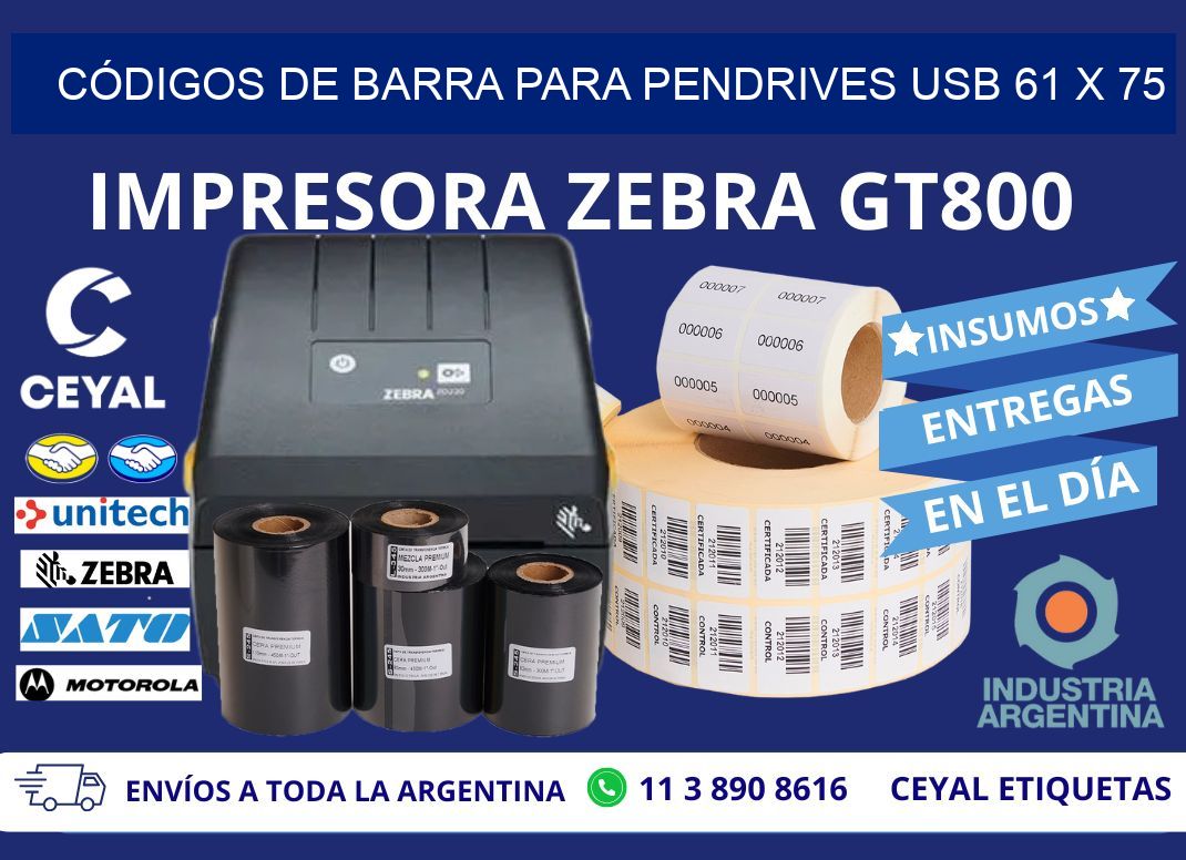 CÓDIGOS DE BARRA PARA PENDRIVES USB 61 x 75