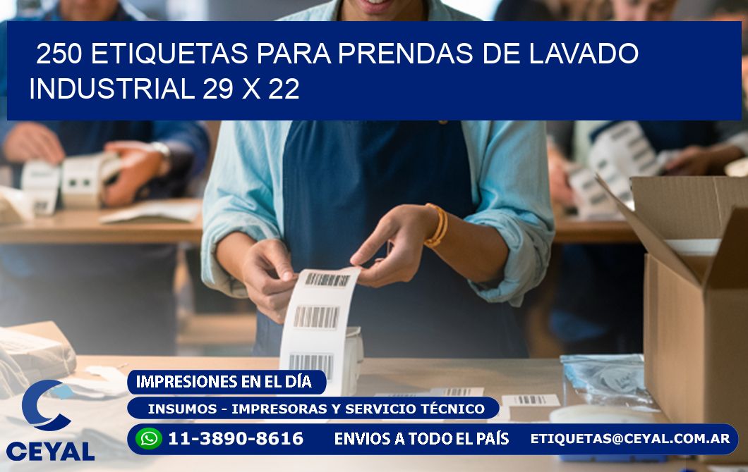 250 ETIQUETAS PARA PRENDAS DE LAVADO INDUSTRIAL 29 x 22