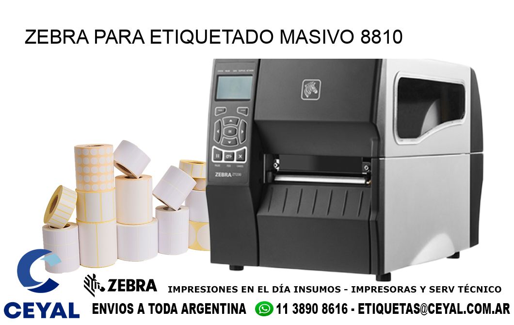 ZEBRA PARA ETIQUETADO MASIVO 8810