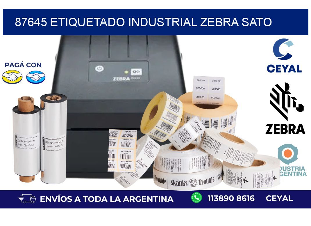 87645 ETIQUETADO INDUSTRIAL ZEBRA SATO