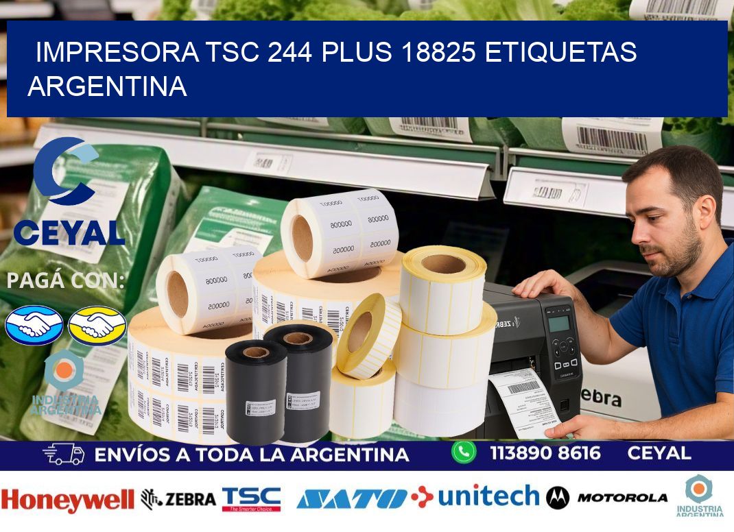 Impresora tsc 244 plus 18825 etiquetas argentina
