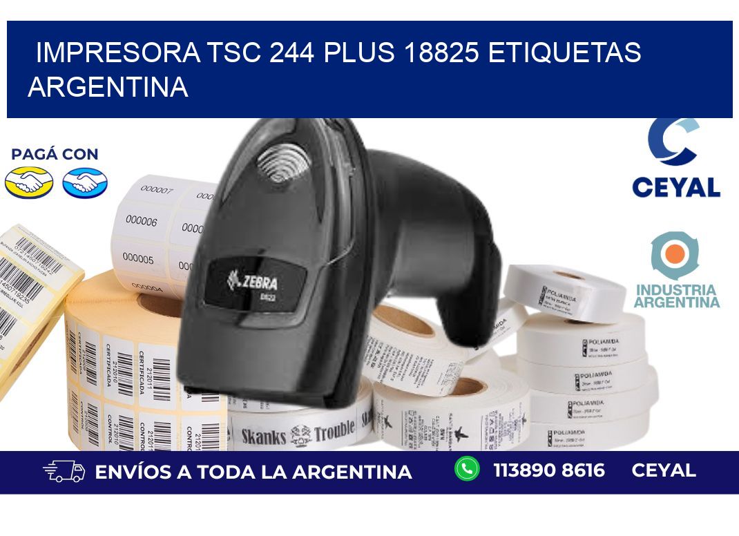 Impresora tsc 244 plus 18825 etiquetas argentina