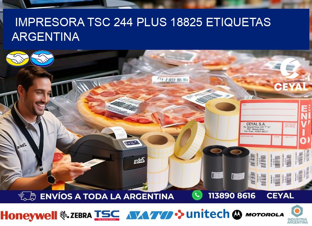 Impresora tsc 244 plus 18825 etiquetas argentina