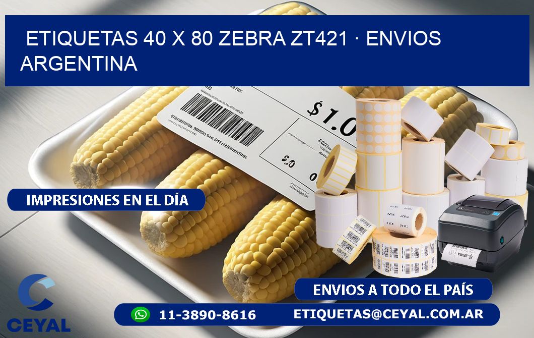 ETIQUETAS 40 x 80 ZEBRA ZT421 · ENVIOS ARGENTINA