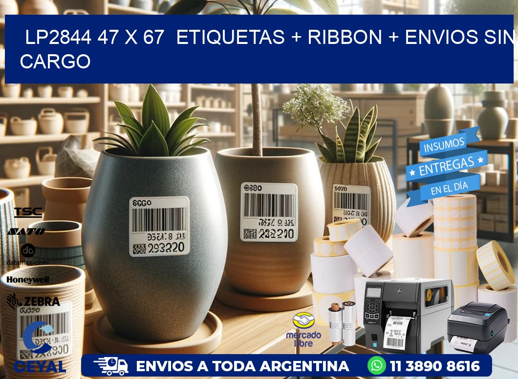 LP2844 47 x 67  etiquetas + ribbon + envios sin cargo