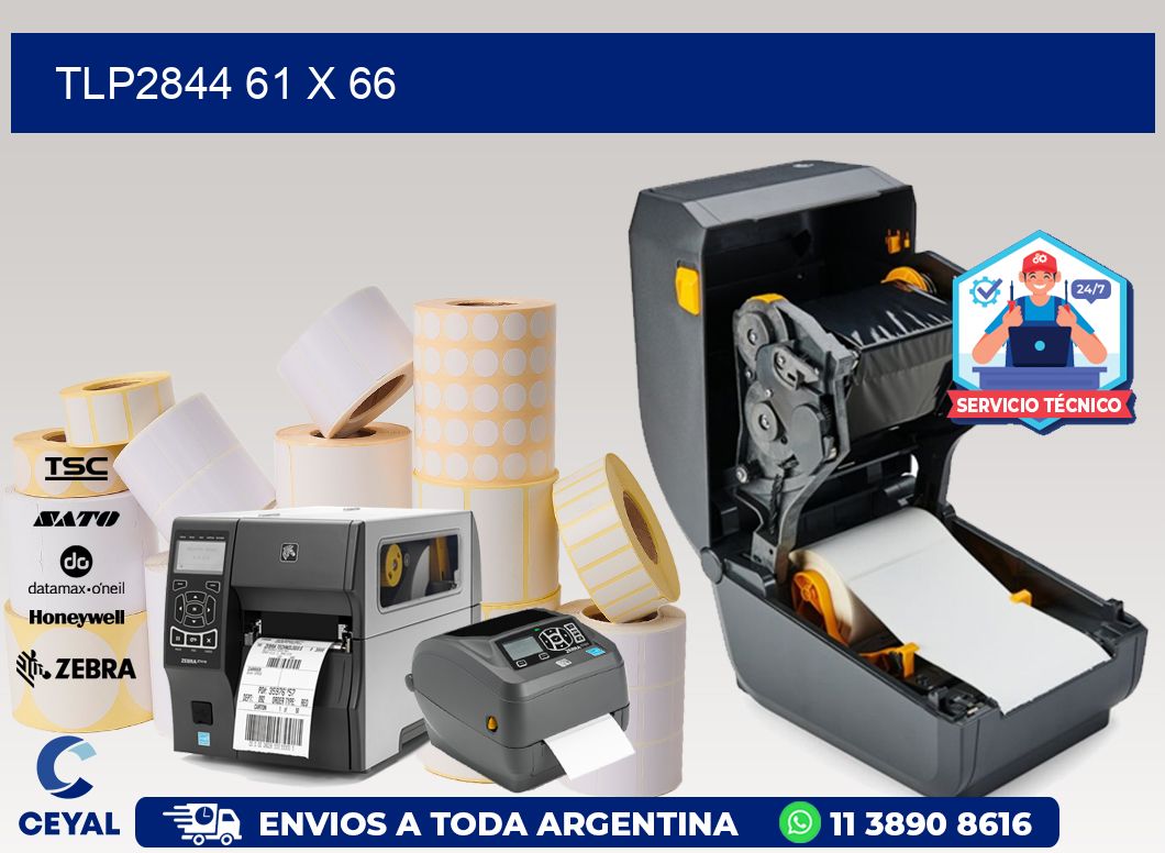 TLP2844 61 x 66