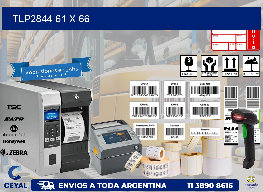 TLP2844 61 x 66