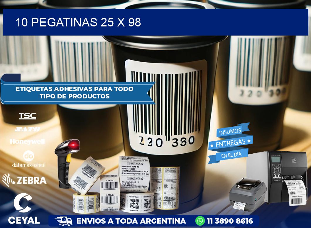 10 PEGATINAS 25 x 98