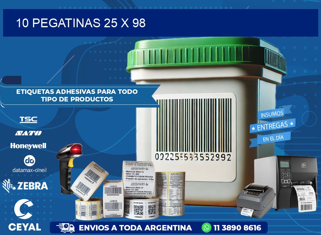 10 PEGATINAS 25 x 98