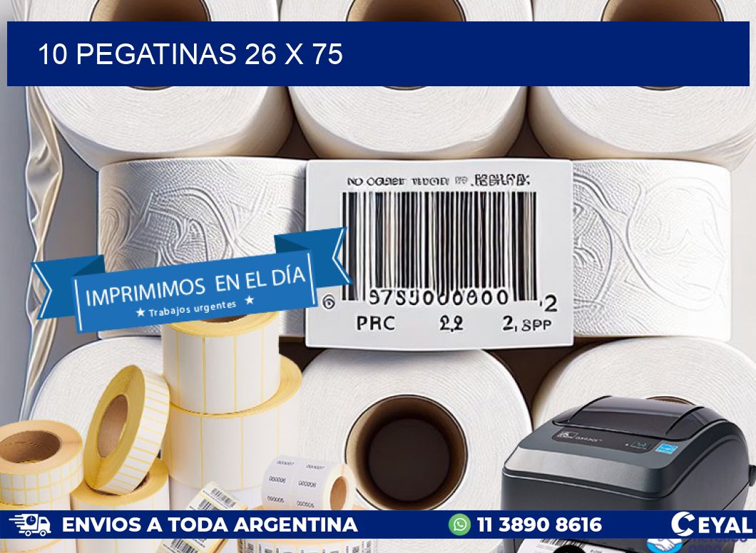 10 PEGATINAS 26 x 75