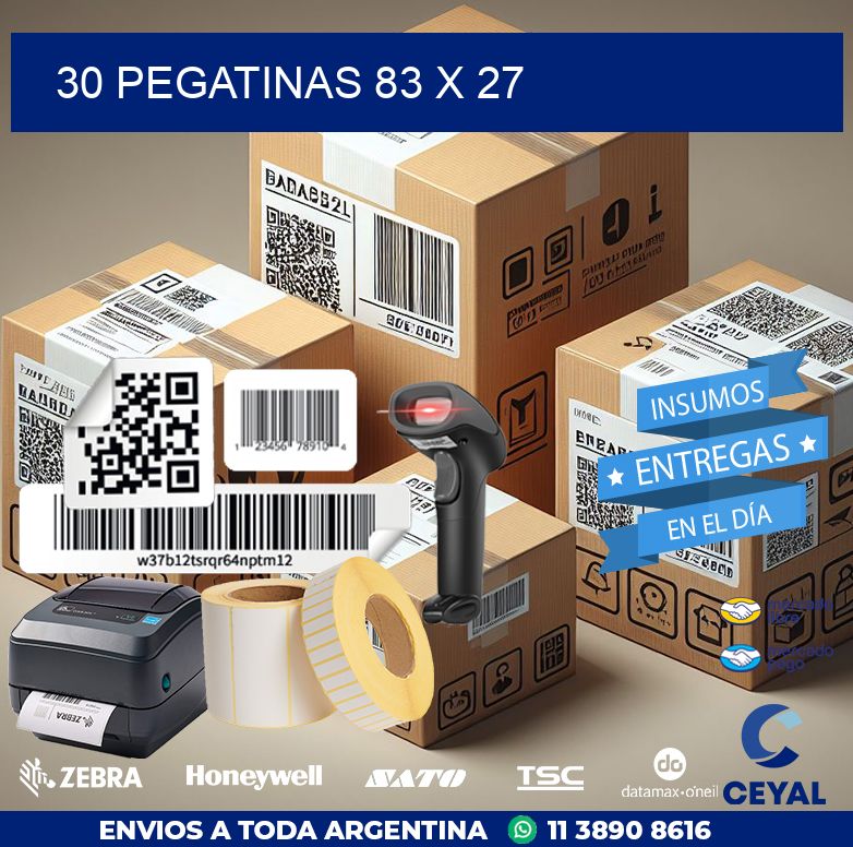 30 PEGATINAS 83 x 27