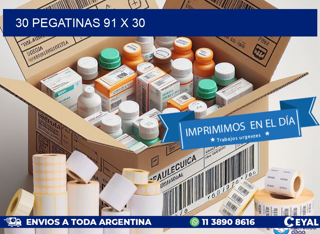 30 PEGATINAS 91 x 30