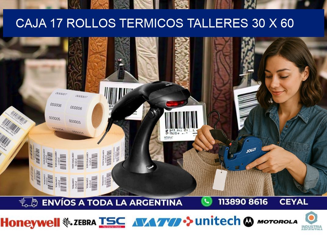 CAJA 17 ROLLOS TERMICOS TALLERES 30 x 60