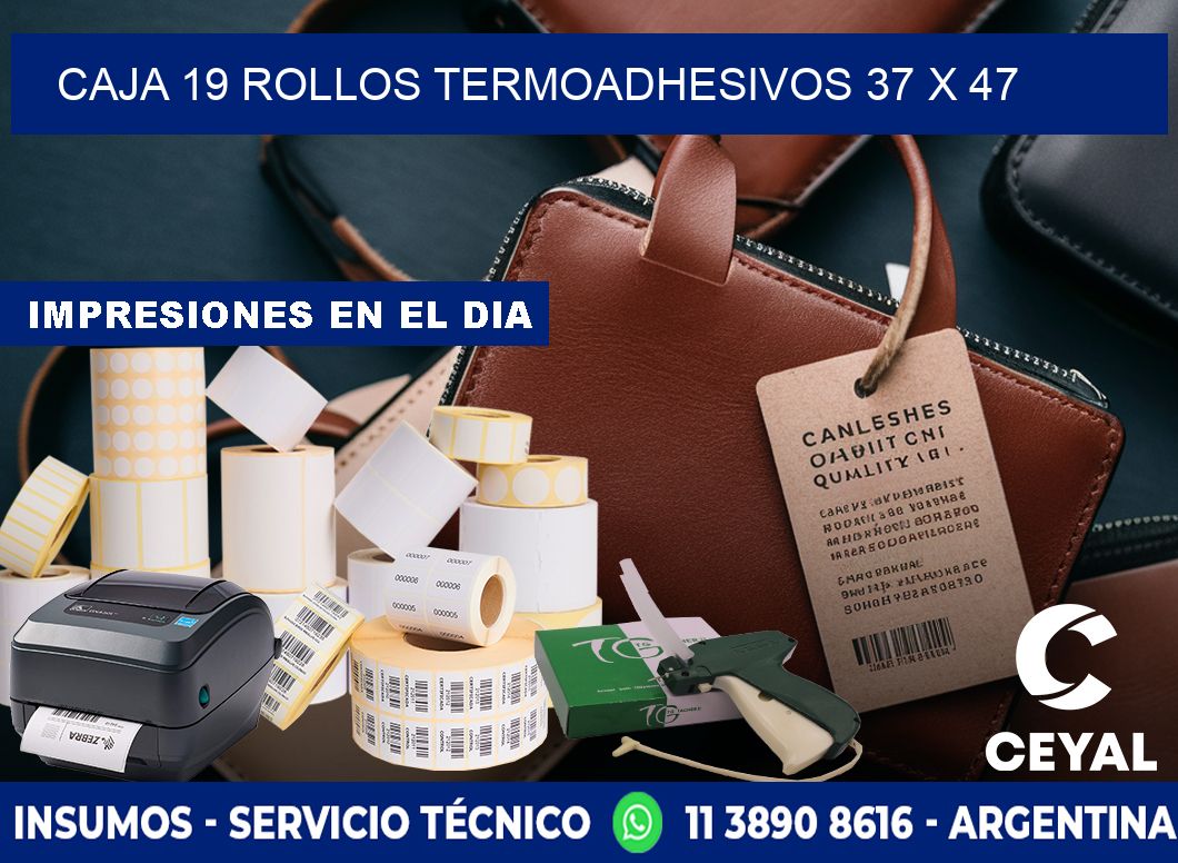 CAJA 19 ROLLOS TERMOADHESIVOS 37 x 47