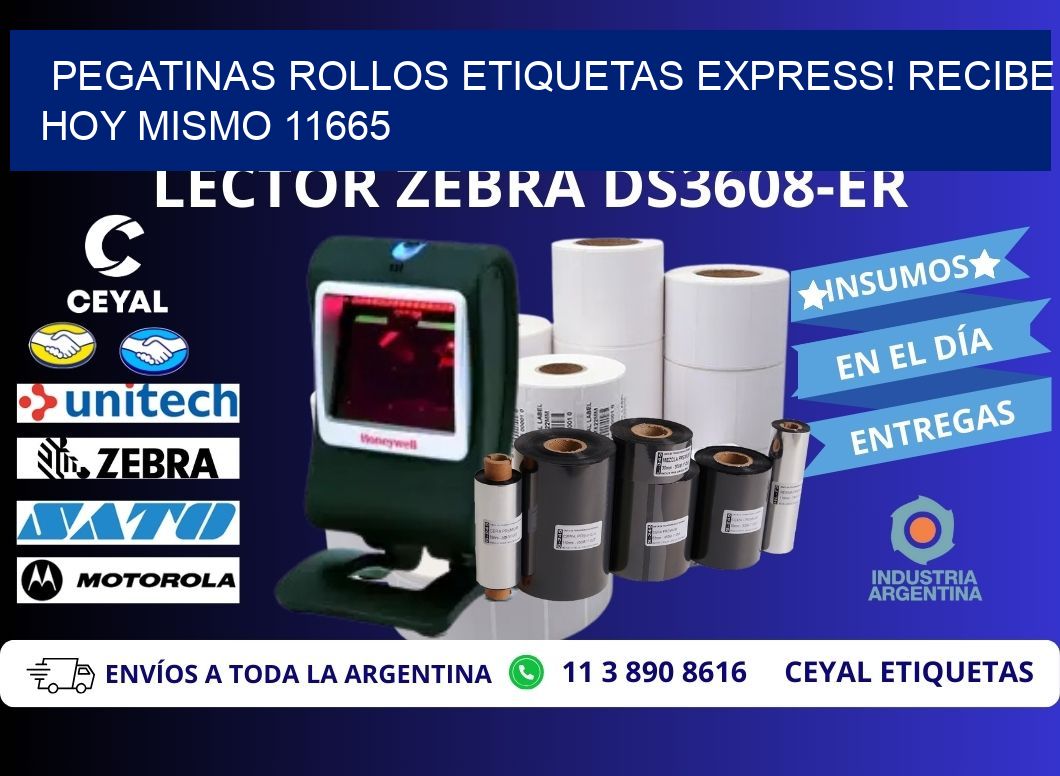 Pegatinas rollos etiquetas Express! Recibe Hoy Mismo 11665