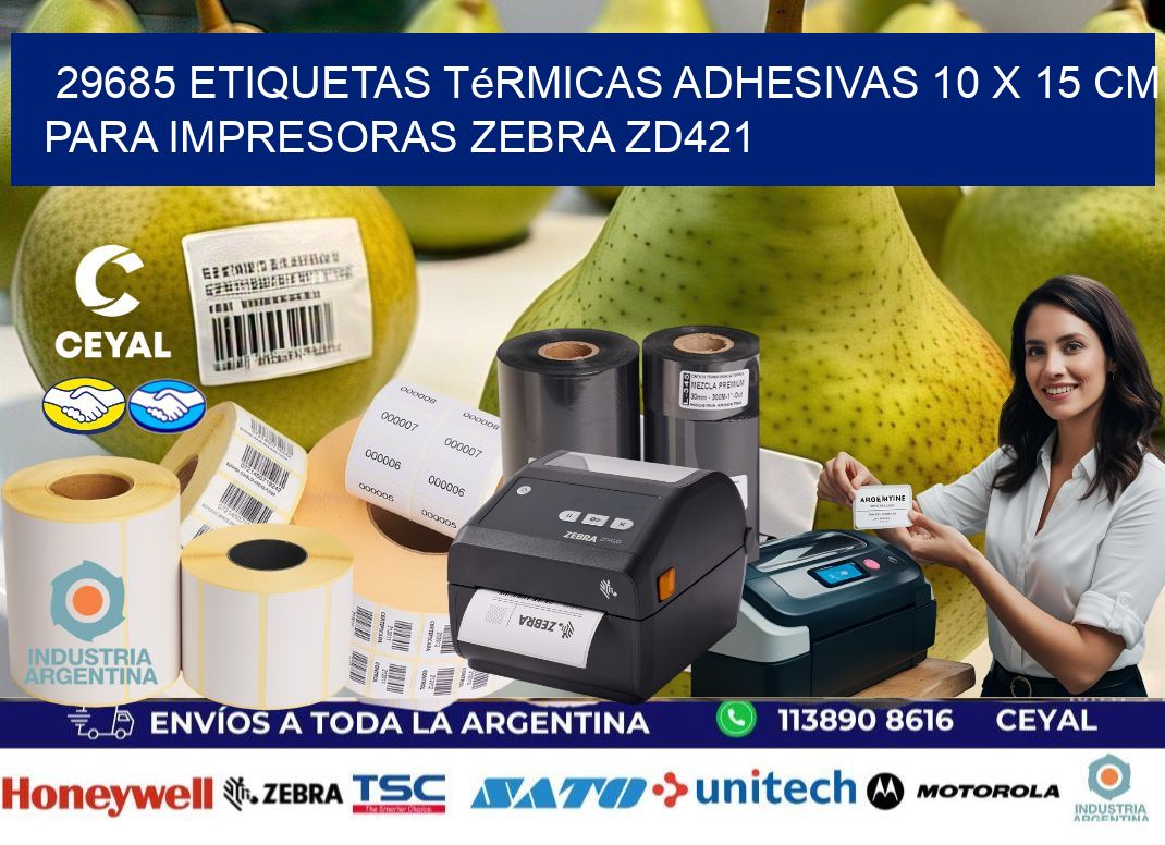 29685 Etiquetas Térmicas Adhesivas 10 x 15 cm para Impresoras Zebra ZD421