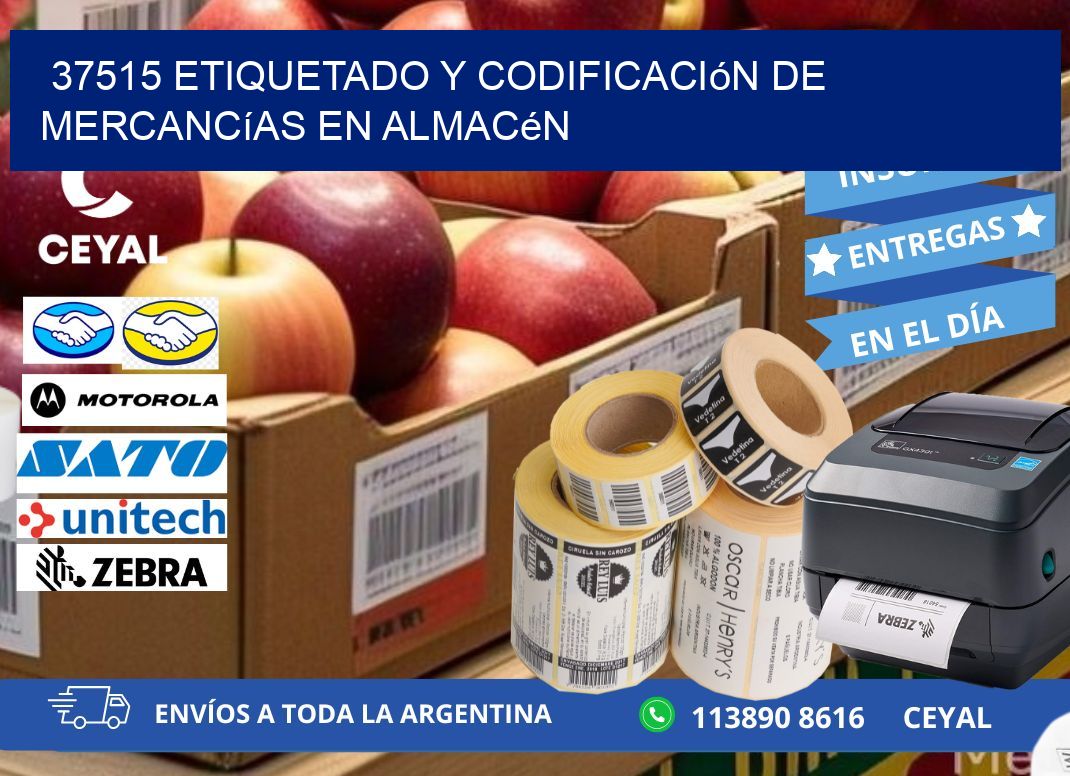 37515 Etiquetado y codificación de mercancías en almacén