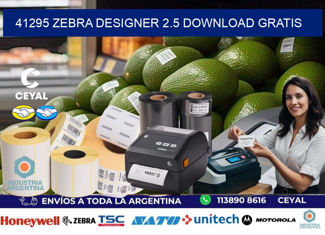 41295 Zebra designer 2.5 download gratis