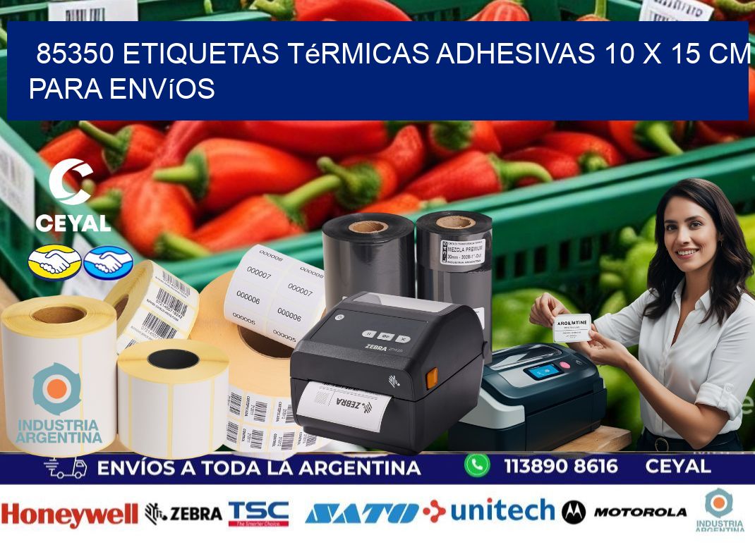 85350 Etiquetas Térmicas Adhesivas 10 x 15 cm para Envíos