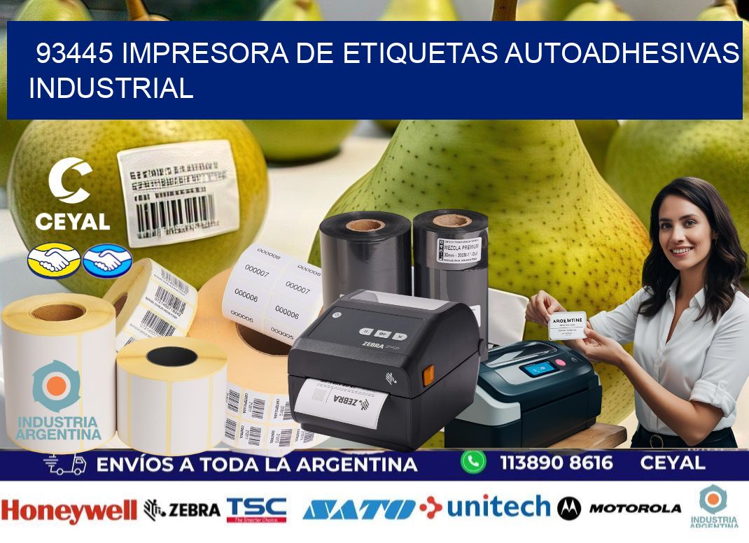 93445 Impresora de etiquetas autoadhesivas industrial