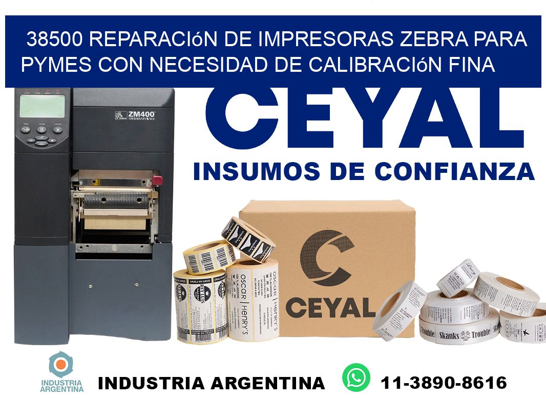 38500 reparación de impresoras zebra para pymes con necesidad de calibración fina