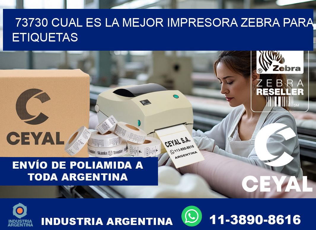 73730 cual es la mejor impresora zebra para etiquetas