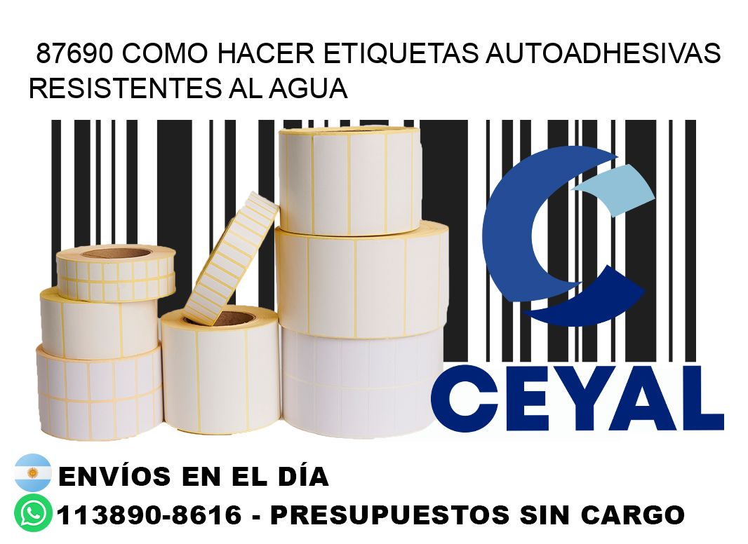 87690 Como hacer etiquetas autoadhesivas resistentes al agua