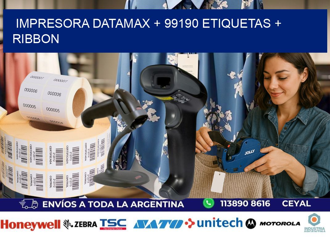 impresora DATAMAX + 99190 etiquetas + ribbon