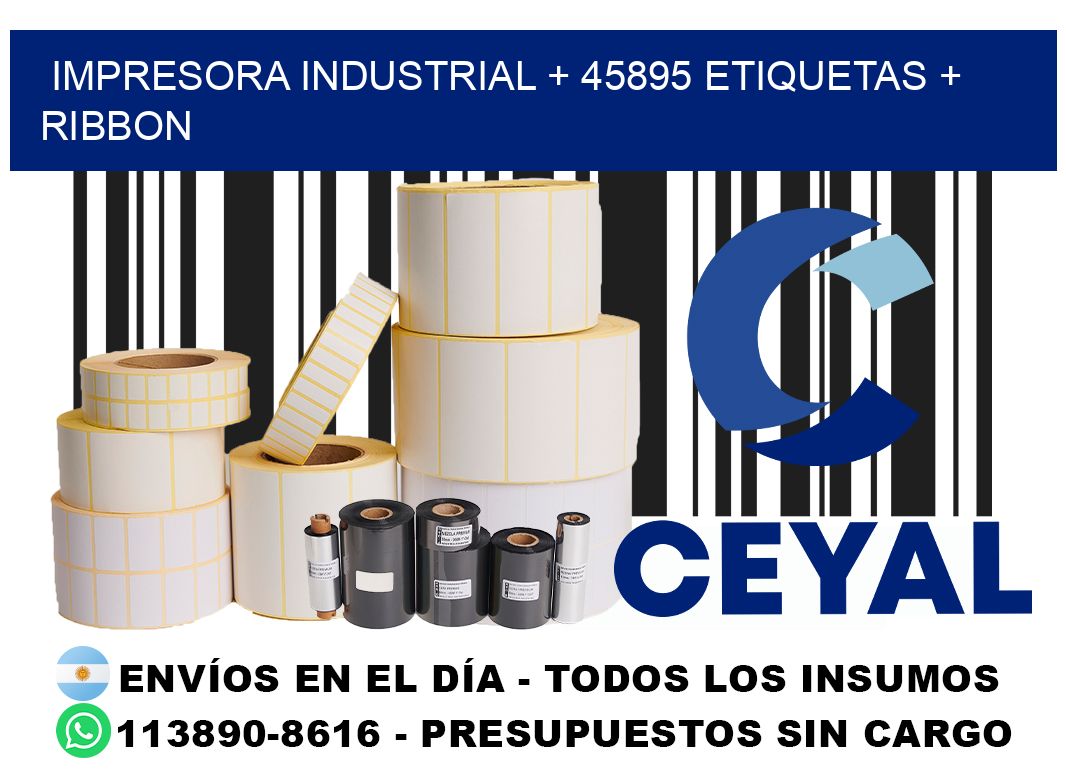 impresora industrial + 45895 etiquetas + ribbon