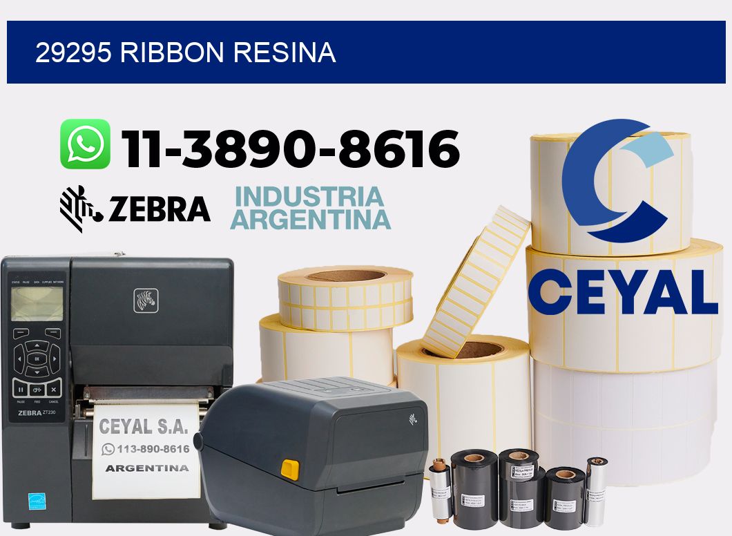 29295 ribbon resina