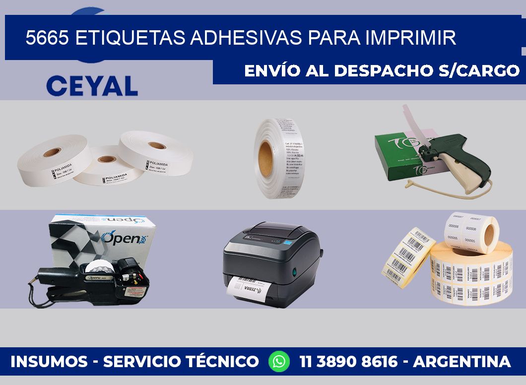5665 etiquetas adhesivas para imprimir