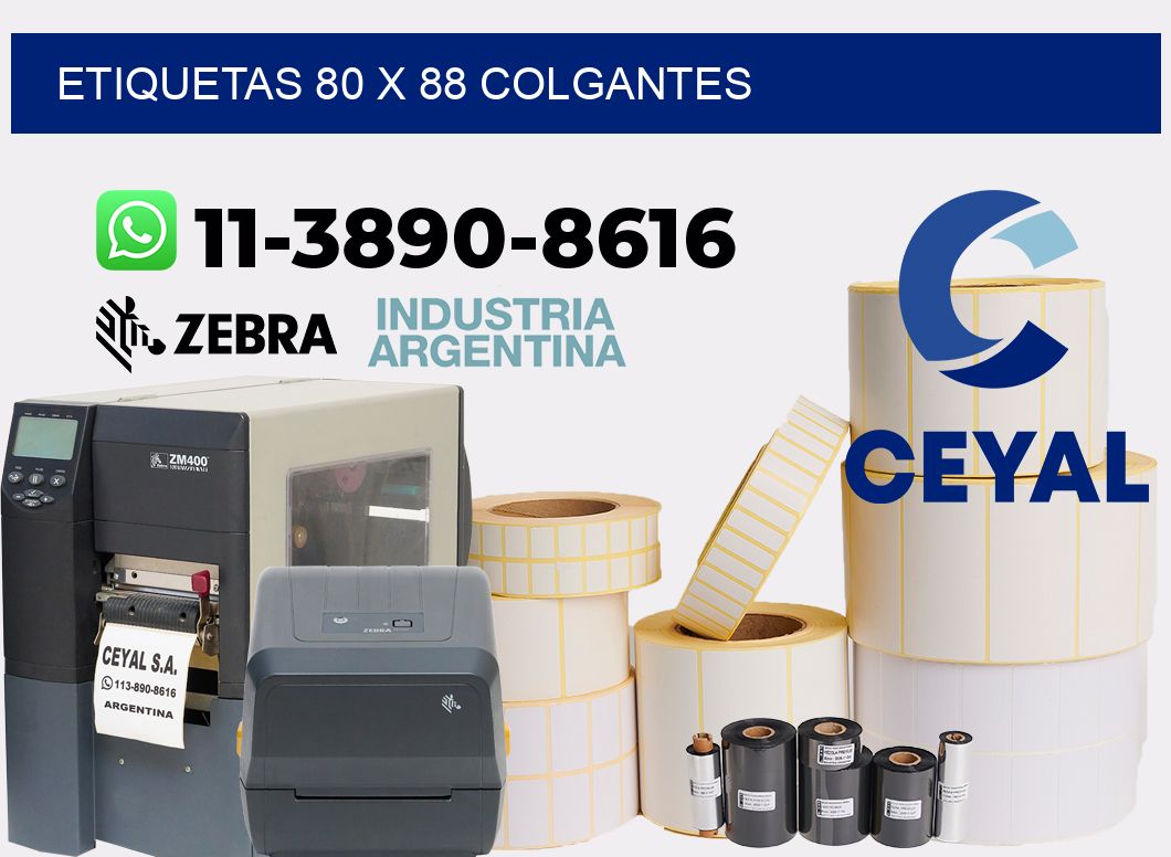 etiquetas 80 x 88 colgantes