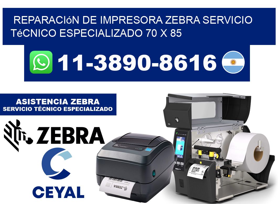 Reparación de Impresora Zebra Servicio Técnico Especializado 70 x 85