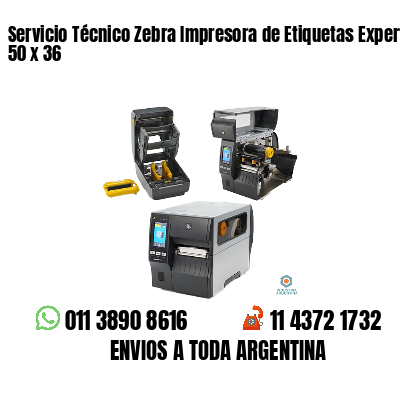 Servicio Técnico Zebra Impresora de Etiquetas Experto 50 x 36