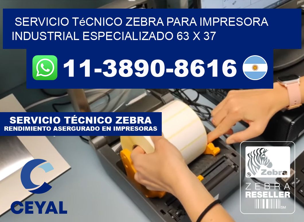 Servicio Técnico Zebra para Impresora Industrial Especializado 63 x 37